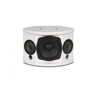 Loa toàn dải 2 chiều Bost Audio MT236