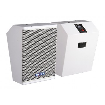 Loa toàn dải Two-way Bost Audio MQ310