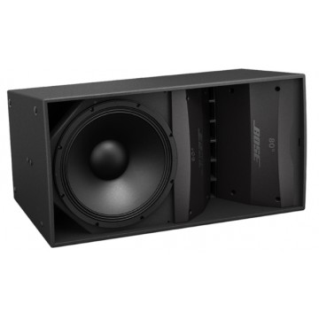 Loa Bose ArenaMatch AM10/100  