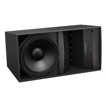 Loa Bose ArenaMatch AM10/80  
