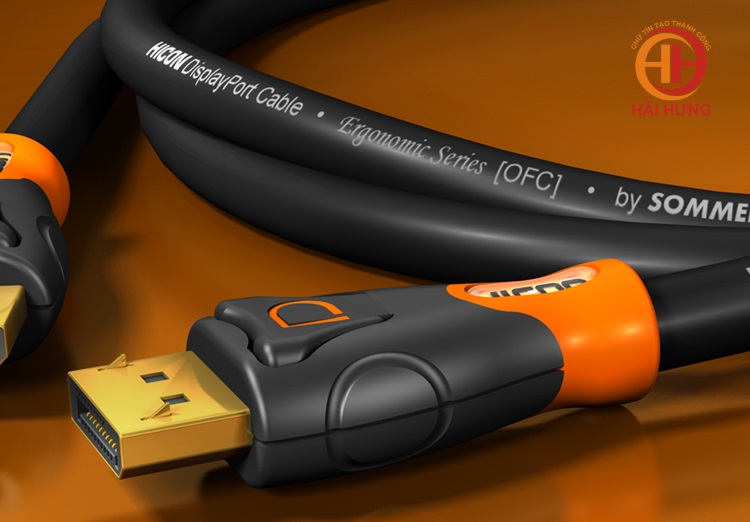 Cáp DisplayPort Sommer HIE-DPDP-0500 dài 5.0m