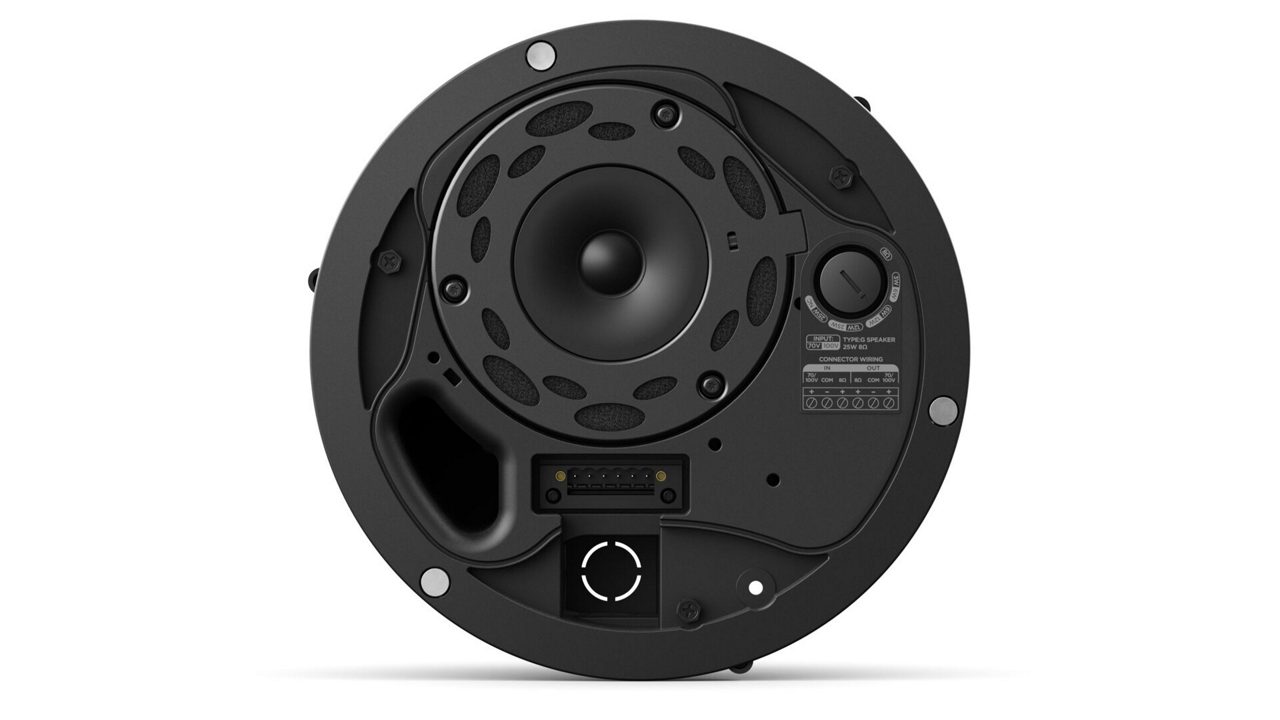 Loa Bose DesignMax DM3C-LP