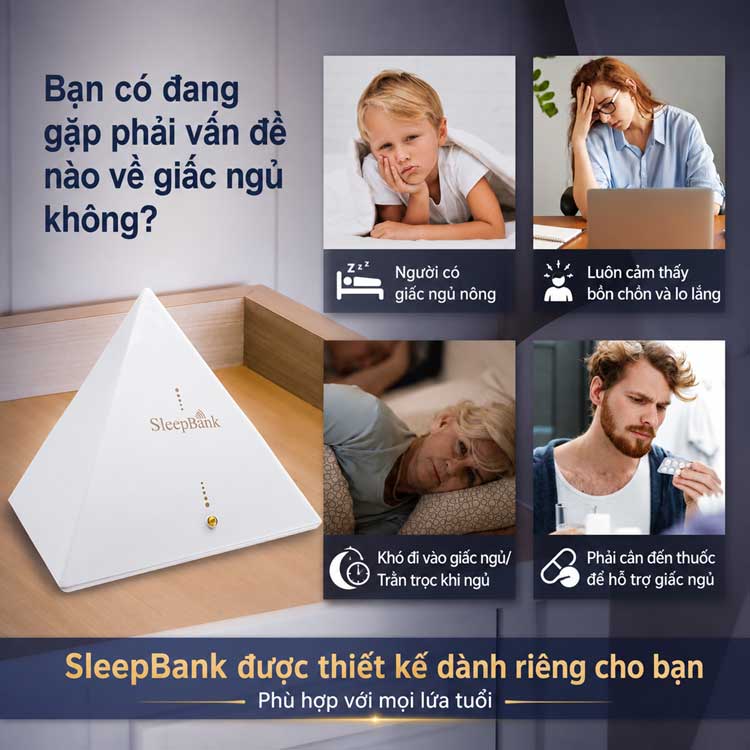 SleepBank được thiết kế dành cho mọi đối tượng